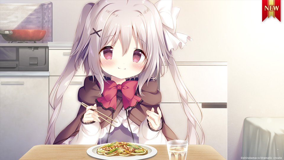 Nintendo Switch『星空鉄道とシロの旅』