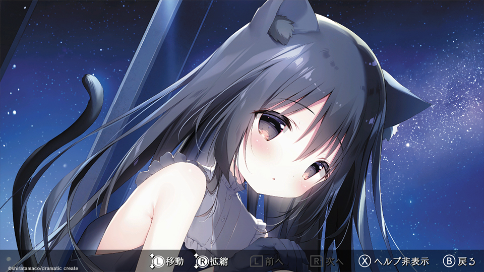 星空鉄道とシロの旅 Nintendo Switch『星空鉄道とシロの旅』